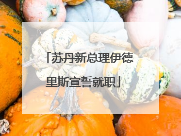 苏丹新总理伊德里斯宣誓就职