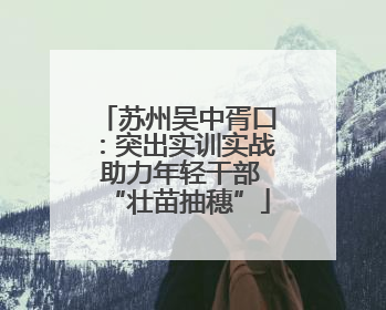 苏州吴中胥口：突出实训实战 助力年轻干部“壮苗抽穗”