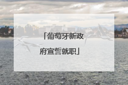 葡萄牙新政府宣誓就职