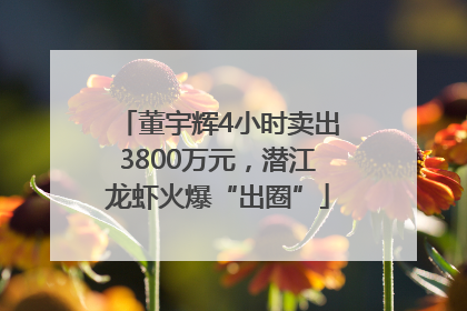 董宇辉4小时卖出3800万元，潜江龙虾火爆“出圈”