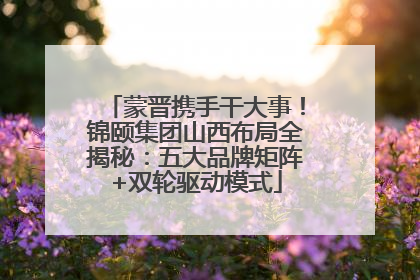 蒙晋携手干大事！锦颐集团山西布局全揭秘：五大品牌矩阵+双轮驱动模式