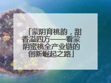 蒙阴育桃韵，甜香溢四方——看蒙阴蜜桃全产业链的创新崛起之路