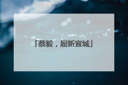 蔡毅，履新宣城