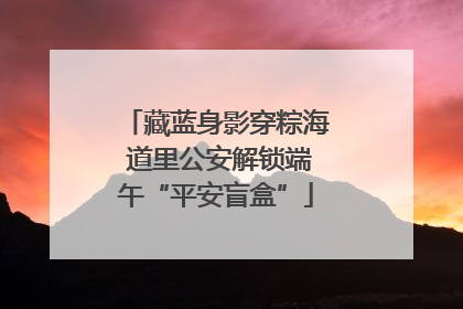 藏蓝身影穿粽海 道里公安解锁端午“平安盲盒”