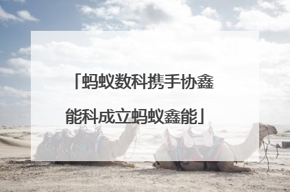 蚂蚁数科携手协鑫能科成立蚂蚁鑫能