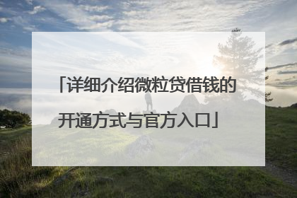 详细介绍微粒贷借钱的开通方式与官方入口