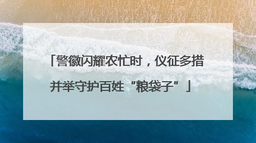 警徽闪耀农忙时，仪征多措并举守护百姓“粮袋子”