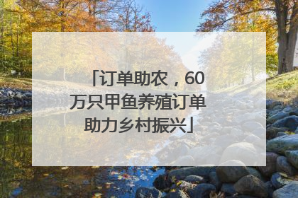 订单助农，60万只甲鱼养殖订单助力乡村振兴