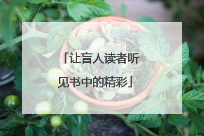 让盲人读者听见书中的精彩