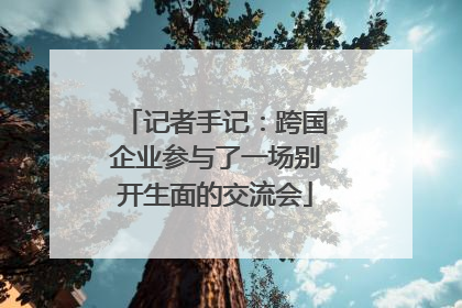 记者手记：跨国企业参与了一场别开生面的交流会