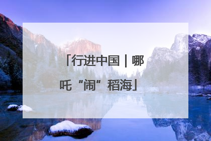 行进中国｜哪吒“闹”稻海