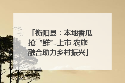 衡阳县：本地香瓜抢“鲜”上市 农旅融合助力乡村振兴