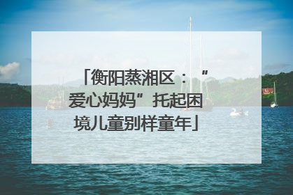 衡阳蒸湘区：“爱心妈妈”托起困境儿童别样童年