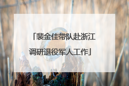 裴金佳带队赴浙江调研退役军人工作
