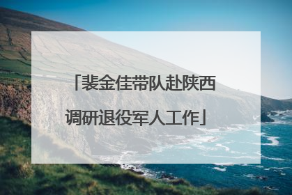 裴金佳带队赴陕西调研退役军人工作