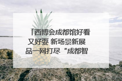 西博会成都馆好看又好耍 新场景新展品一网打尽“成都智造”｜西博视界