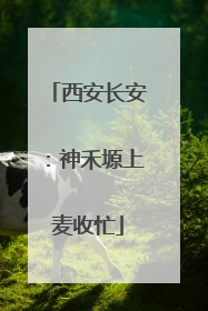 西安长安：神禾塬上麦收忙