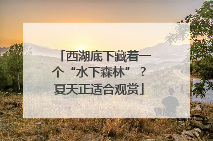 西湖底下藏着一个“水下森林”？夏天正适合观赏