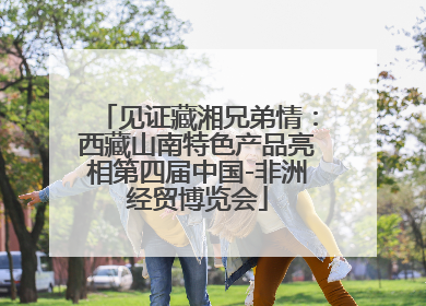 见证藏湘兄弟情：西藏山南特色产品亮相第四届中国-非洲经贸博览会