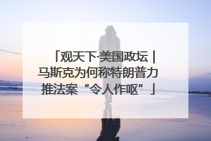 观天下·美国政坛｜马斯克为何称特朗普力推法案“令人作呕”