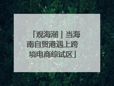 观海潮｜当海南自贸港遇上跨境电商综试区