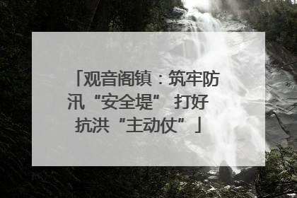 观音阁镇：筑牢防汛“安全堤” 打好抗洪“主动仗”
