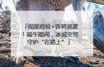 视频巡检+铁骑巡逻！端午期间，冰城交警守护“在路上”