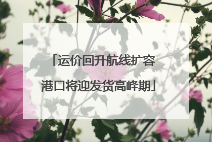 运价回升航线扩容 港口将迎发货高峰期