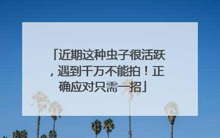 近期这种虫子很活跃，遇到千万不能拍！正确应对只需一招