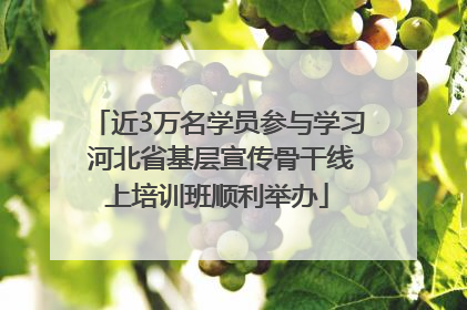近3万名学员参与学习 河北省基层宣传骨干线上培训班顺利举办