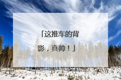 这推车的背影，真帅！