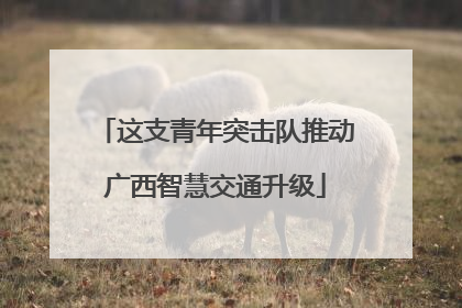 这支青年突击队推动广西智慧交通升级