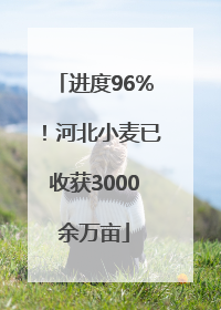 进度96%！河北小麦已收获3000余万亩