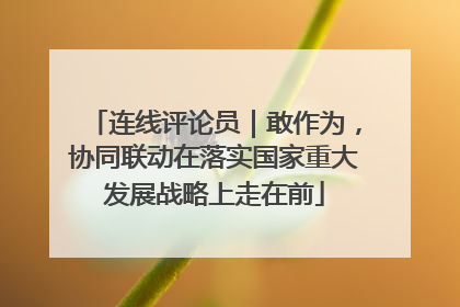 连线评论员｜敢作为，协同联动在落实国家重大发展战略上走在前
