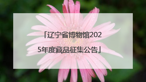 辽宁省博物馆2025年度藏品征集公告