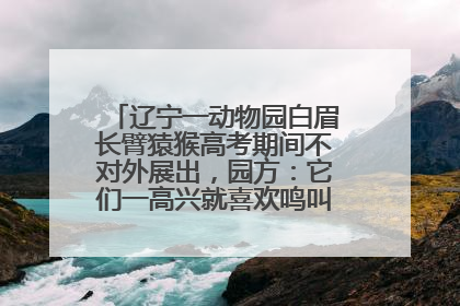 辽宁一动物园白眉长臂猿猴高考期间不对外展出，园方：它们一高兴就喜欢鸣叫，怕影响考试