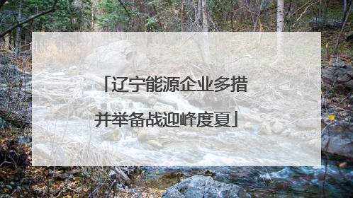 辽宁能源企业多措并举备战迎峰度夏