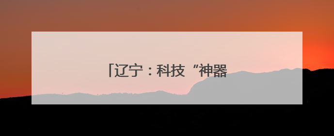 辽宁：科技“神器”为农田夏管护航
