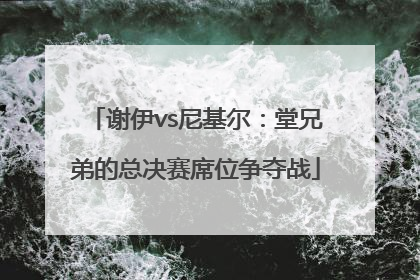 谢伊vs尼基尔：堂兄弟的总决赛席位争夺战