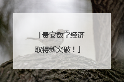 贵安数字经济取得新突破！