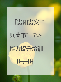 贵阳贵安“兵支书”学习能力提升培训班开班