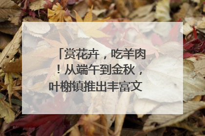 赏花卉，吃羊肉！从端午到金秋，叶榭镇推出丰富文旅活动邀您爽玩