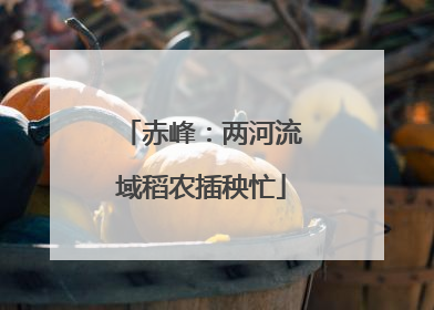 赤峰：两河流域稻农插秧忙