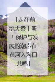 走在前 挑大梁丨听！保护与发展的潮声在黄河入海口共鸣
