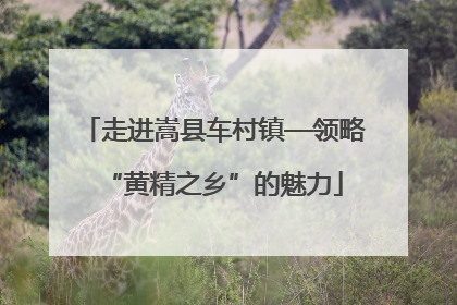 走进嵩县车村镇—领略“黄精之乡”的魅力