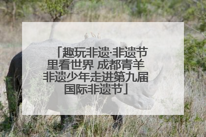 趣玩非遗·非遗节里看世界 成都青羊非遗少年走进第九届国际非遗节