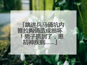 跳进兵马俑坑内推拉陶俑造成损坏！男子抓到了，患精神疾病……