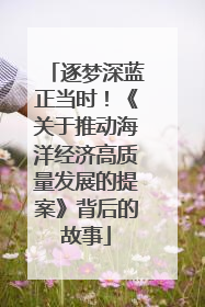 逐梦深蓝正当时！《关于推动海洋经济高质量发展的提案》背后的故事