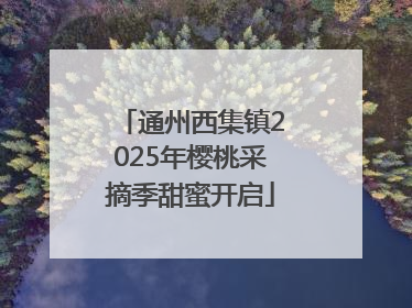 通州西集镇2025年樱桃采摘季甜蜜开启