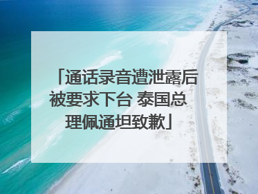 通话录音遭泄露后被要求下台 泰国总理佩通坦致歉